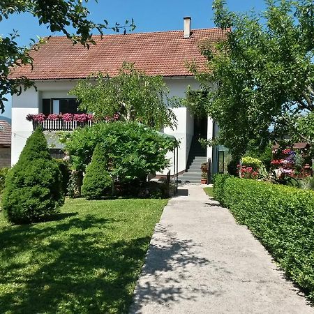 Guesthouse Pavlicic Drežnik Grad Eksteriør billede