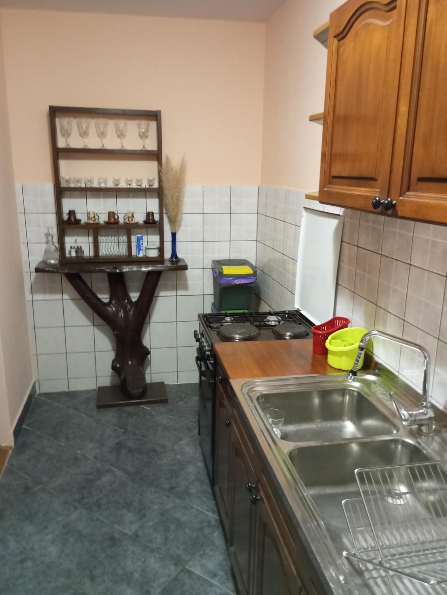 Guesthouse Pavlicic Drežnik Grad Eksteriør billede