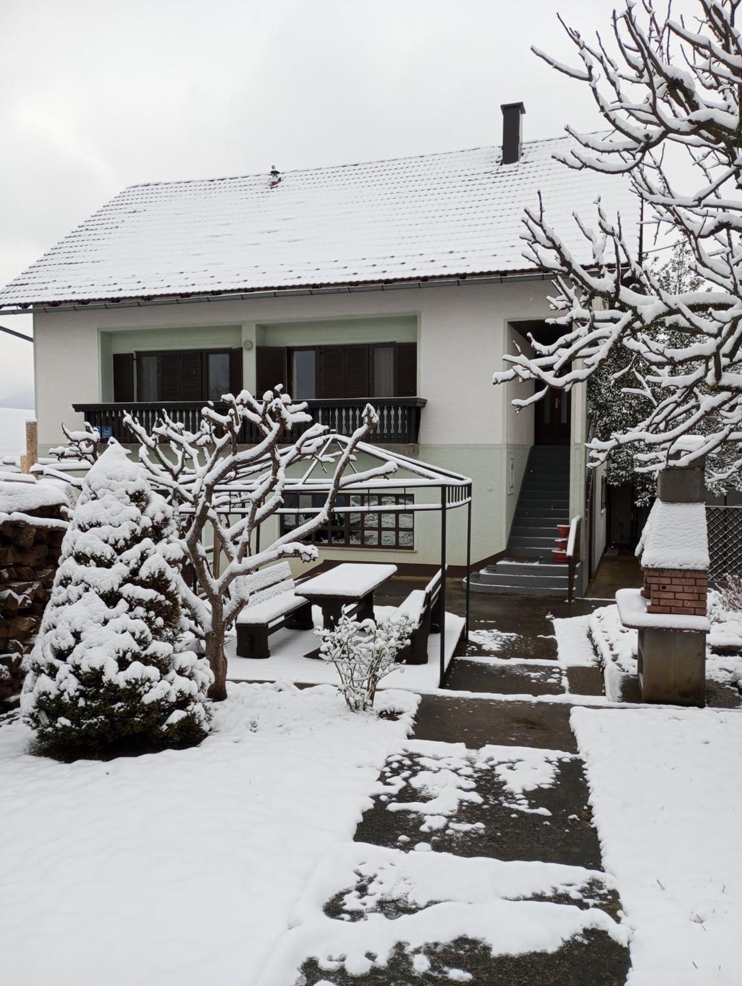 Guesthouse Pavlicic Drežnik Grad Eksteriør billede