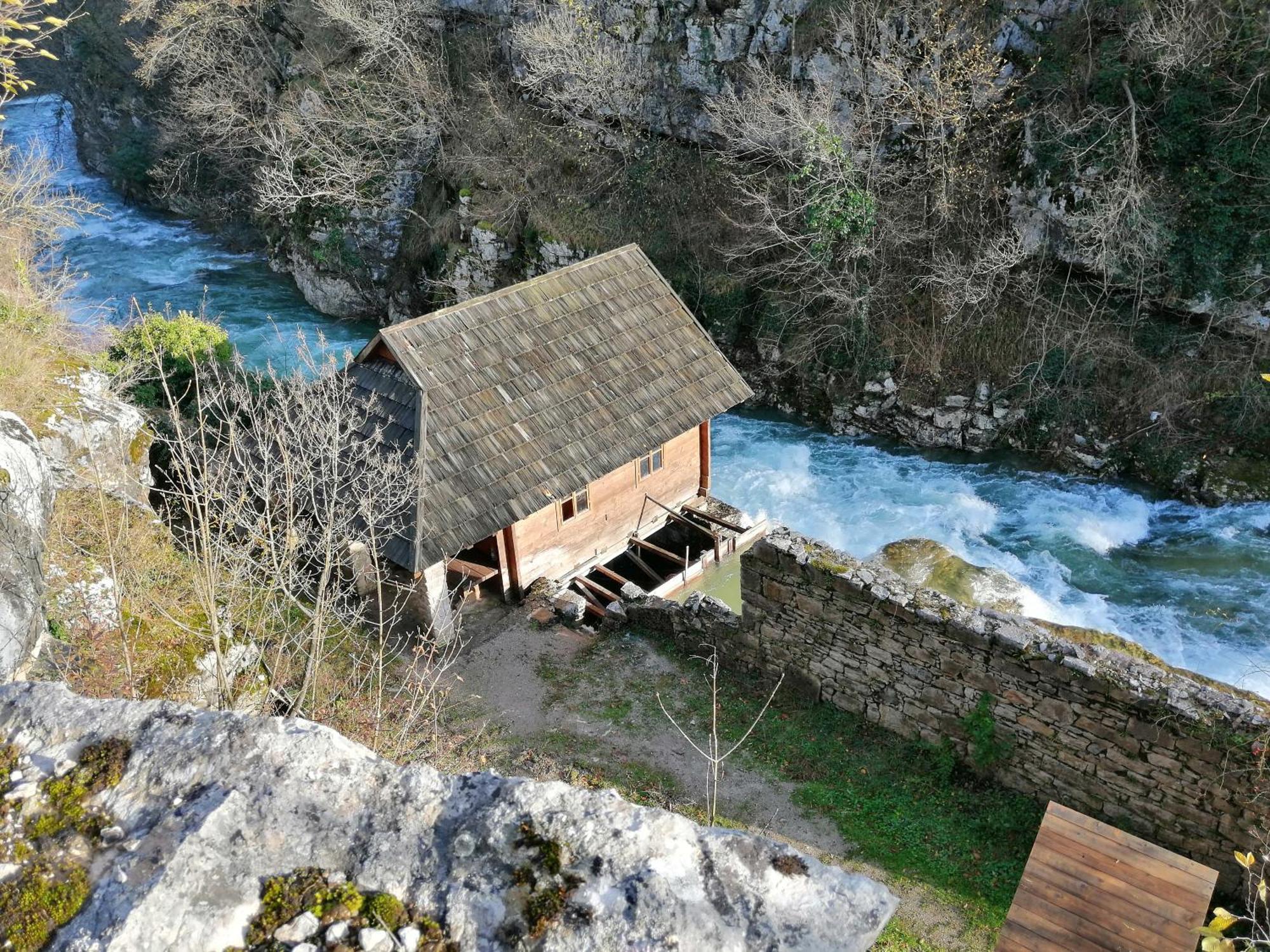Guesthouse Pavlicic Drežnik Grad Eksteriør billede