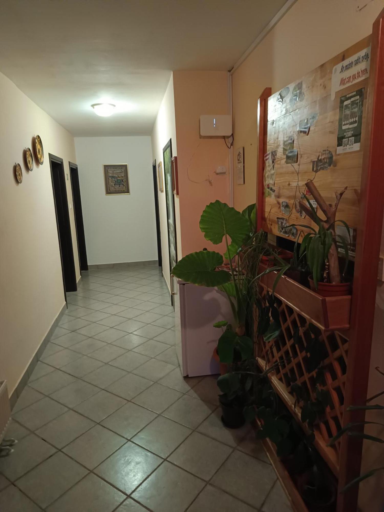 Guesthouse Pavlicic Drežnik Grad Eksteriør billede