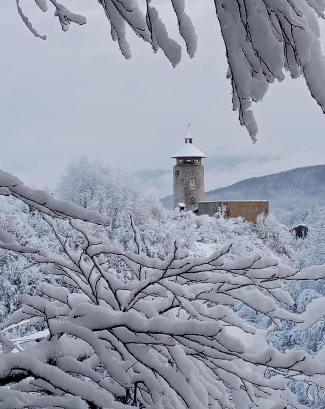Guesthouse Pavlicic Drežnik Grad Eksteriør billede