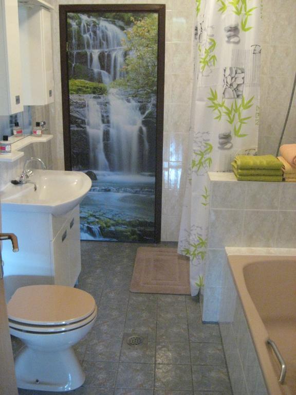 Guesthouse Pavlicic Drežnik Grad Eksteriør billede
