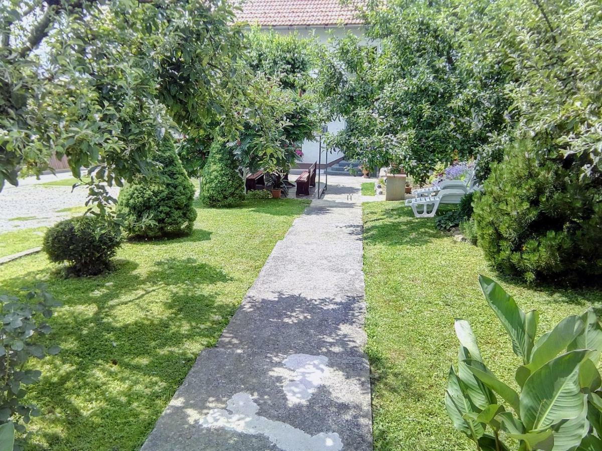 Guesthouse Pavlicic Drežnik Grad Eksteriør billede