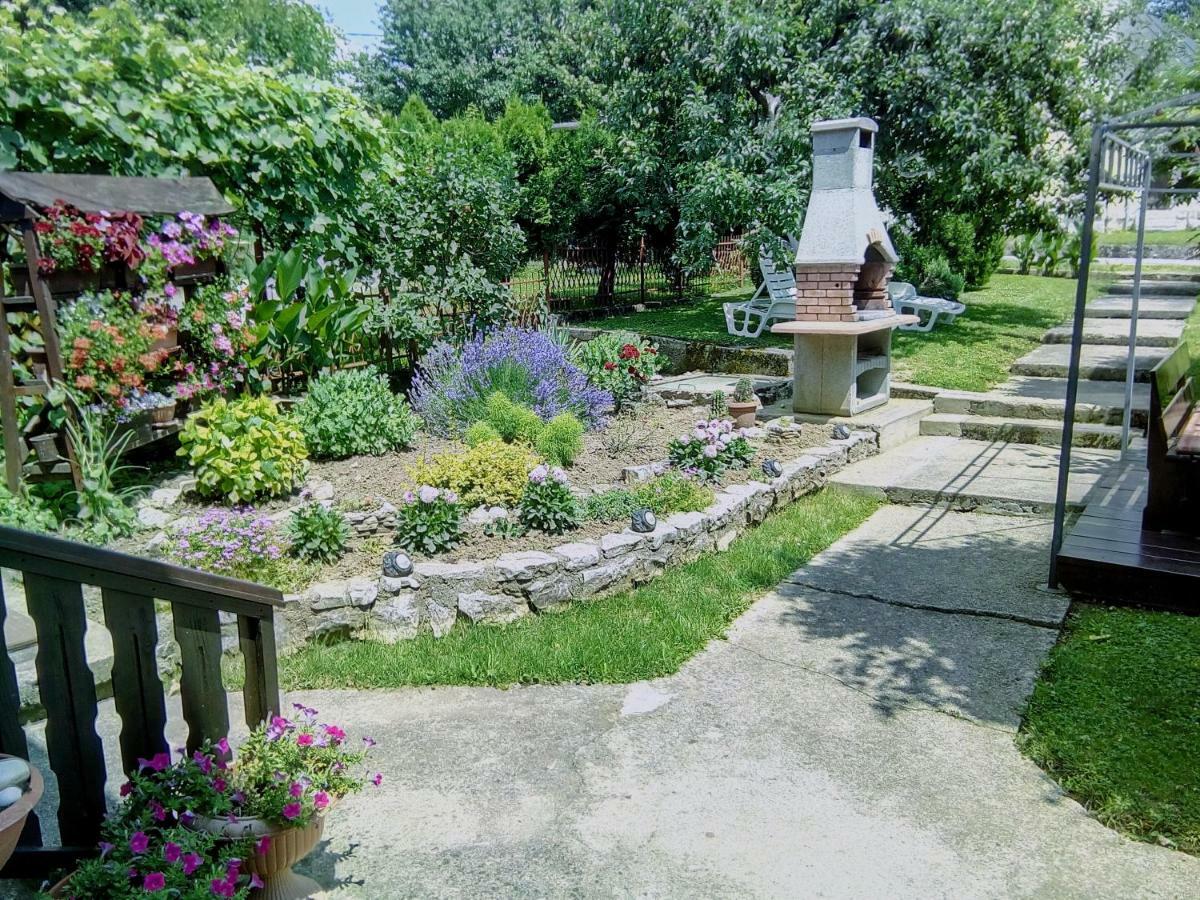 Guesthouse Pavlicic Drežnik Grad Eksteriør billede