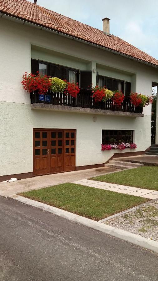 Guesthouse Pavlicic Drežnik Grad Eksteriør billede