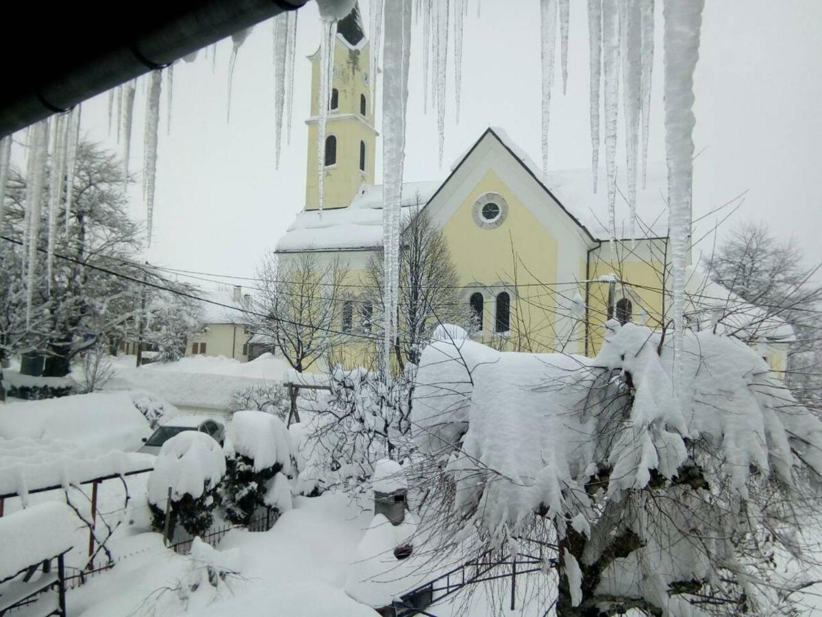 Guesthouse Pavlicic Drežnik Grad Eksteriør billede